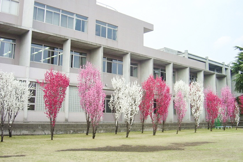 相模女子大学 11号館